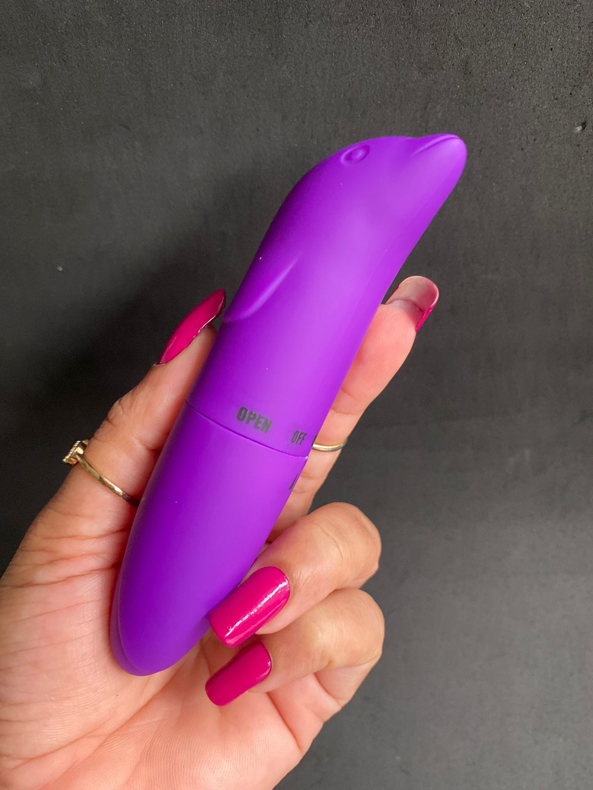 Gregori -VIBRADOR PONTO G GOLFINHO AVELUDADO 01 intensidade - pilha