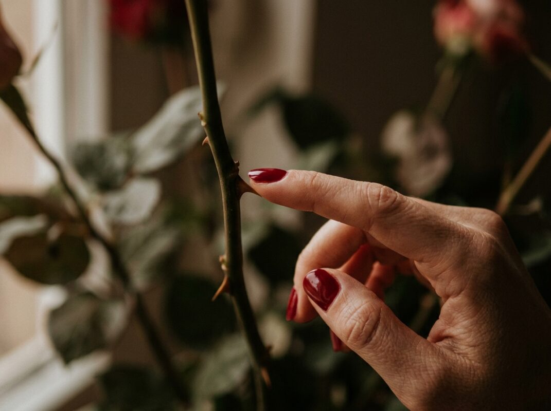 Piquerismo: O que explica a curiosidade sombria por trás do fetiche que viralizou? img2