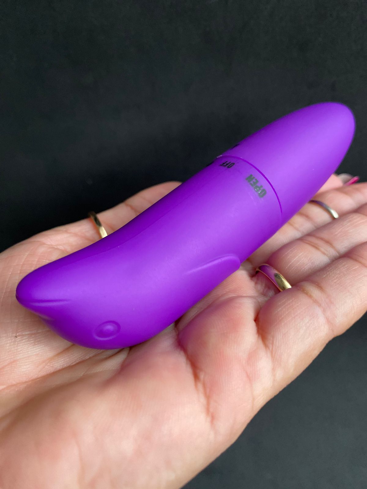 Gregori -VIBRADOR PONTO G GOLFINHO AVELUDADO 01 intensidade - pilha